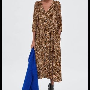 Zara midi leopard button down dress sz xs